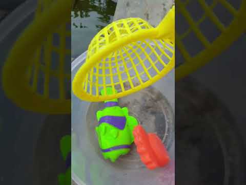 Ikan Dikolam mancing ikan Ikanan