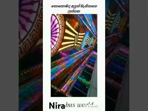 #busvideo #automobile #love manik  kate 2