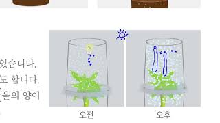 [초등과학 4-2 무료강의] 5. 물의 여행 0차시 물을 주지 않아도 되는 실내 정원