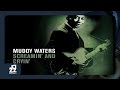 Muddy Waters - Evans Shuffle (Ebony Boogie)