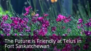 preview picture of video 'Future Friendly Telus in Fort Saskatchewan'