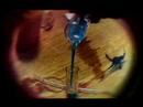 Video thumbnail for Bossa Nostra