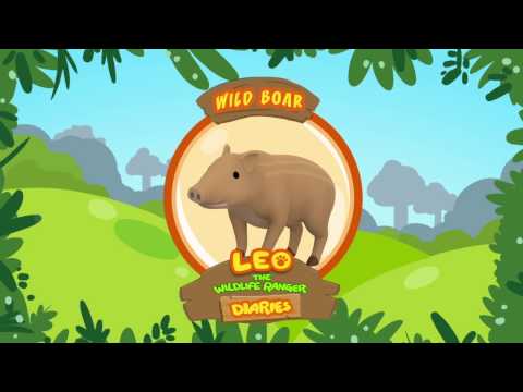 Witness21 Editor  2019 02 01