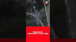 Download lagu Penampakan Kuntilanak asli #shorts mp3 Download lagu Penampakan Kuntilanak asli #shorts mp3