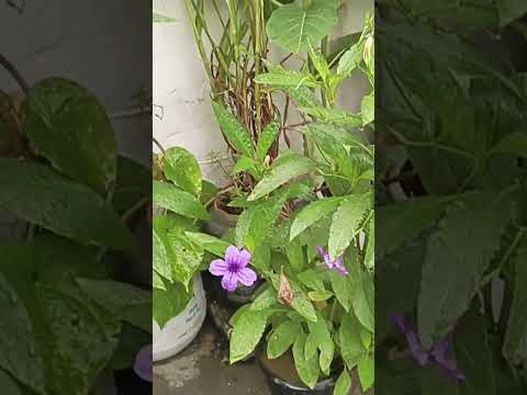 Romantic Sound track For Relaxing #4k #music #yt #soundtrack #love #relaxing #sound a