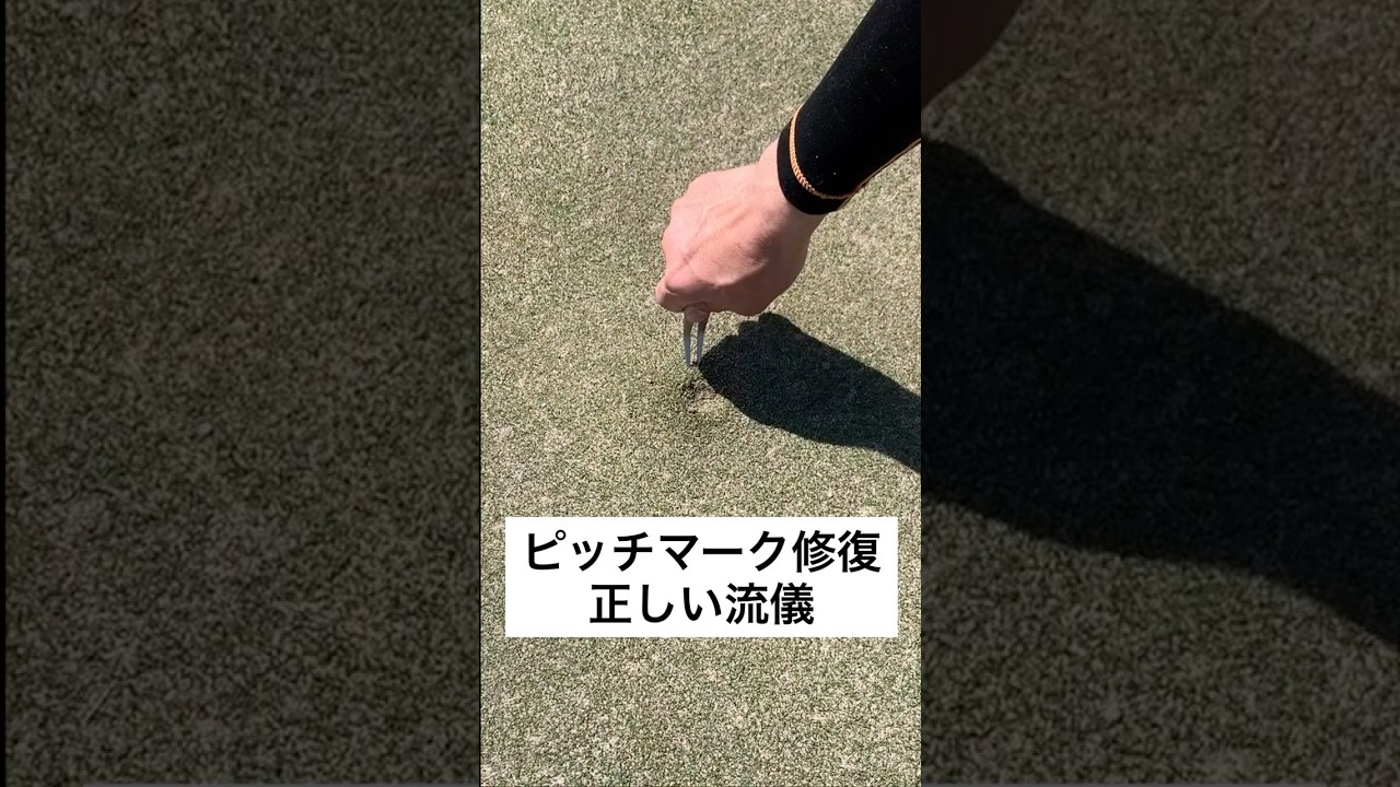 �O���[���t�H�[�N�������