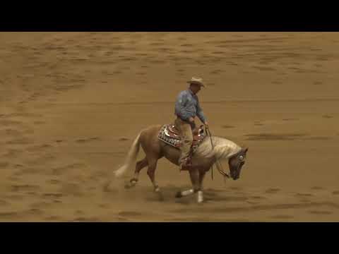 191002 Congress Open Futurity Todd Sommers on Amarilla Gunner