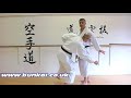 Unsu Bunkai Strategies 2020 Week 6 Koryu Karate Oyo Jutsu