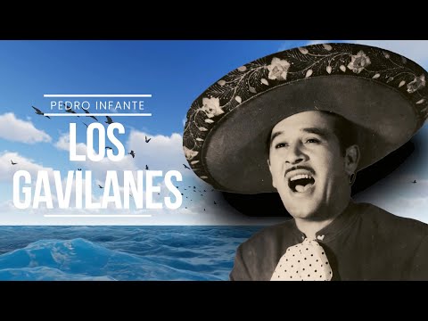 Pedro Infante - Los Gavilanes (Video con Letra)
