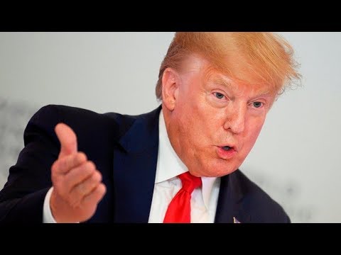 Wie Donald Trump in Davos Spitzen gegen Greta Thunberg verteilt