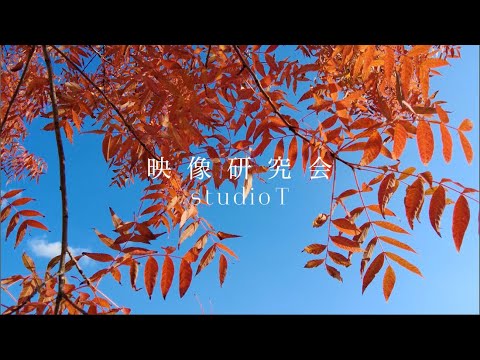 児童教育学科 20231023【造形デザイン学科】映像研究会スタジオT PR動画