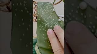 Vídeo sobre o produto