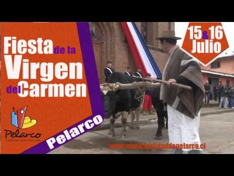 Publicidad Virgen del Carmen Senador Coloma