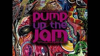 Technotronic - Pump Up The Jam (Intiche Edit)