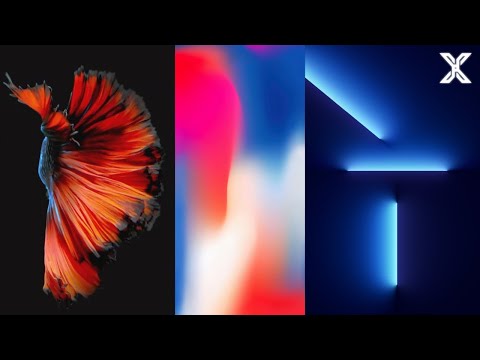 iPhone Live Wallpapers Evolution 🔥