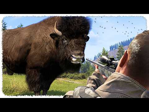 Просмотреть видео