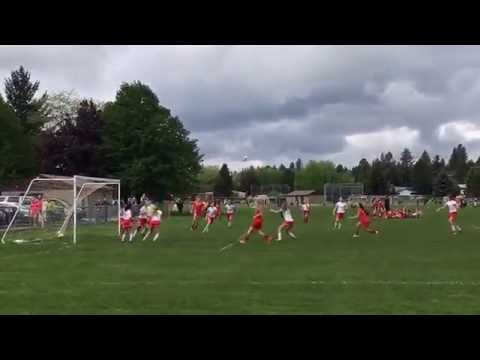 Lash volleys goal outside the box