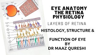 Eye Anatomy Its Function  | Retina & Optic Nerve | Layers of Retina Anatomy & Physiology Simplified