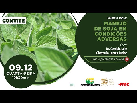 Manejo de soja em condições adversas