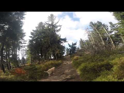 Turbacz 1310 m n.p.m / Gorce