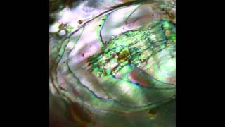 Tasseomancy - Ulalume - 06 - Ashkelon