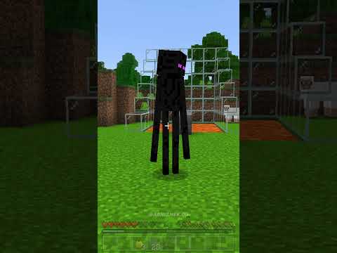 Super Sad Story Of Enderman 💔(Past Lives ) | #shorts  #minecraft