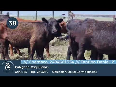 Lote Vq Inv - De la Garma Bs As