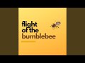 Flight Of The Bumblebee