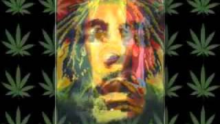 Bob Marley - Buffalo Soldier (remix)