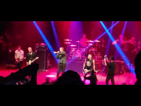 Tony Hawk performs with Goldfinger