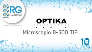 OPTIKA Microscopio B-500 TiFL