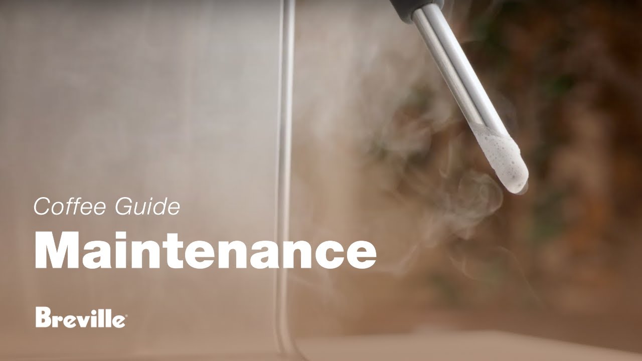A steam wand purge