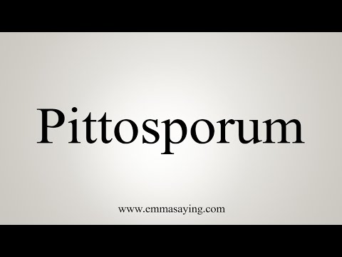 How To Say Pittosporum