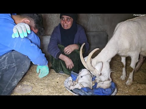 Heartbreaking Moments: Master Builder and Grandmother in Crisis