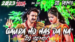 gaura ho hash da na✓🎧  2024 dj remix songs  P