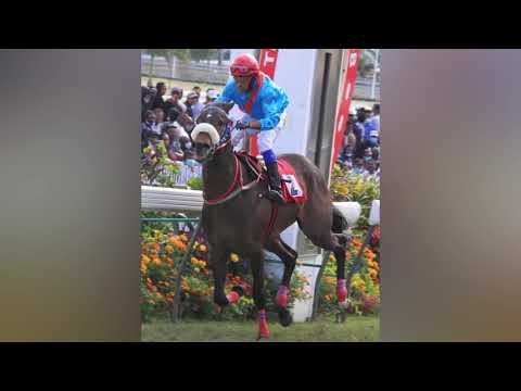 Hall of Fame Rye Joorawon