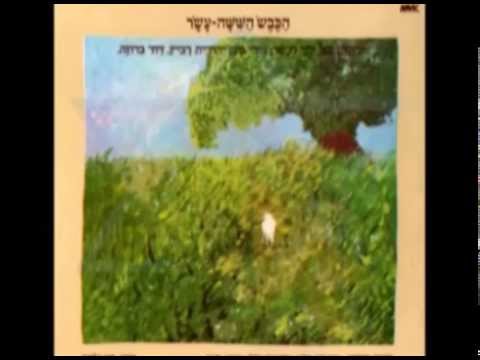 הכבש ה-16 - לילה טוב