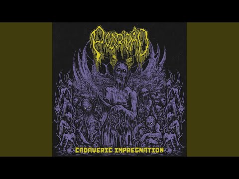 Black Funeral for a Bestial Soul