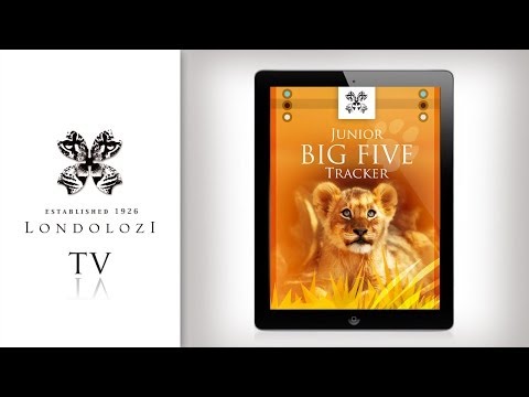 Junior Big Five Tracker - Londolozi TV