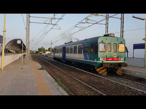 Treno Regionale Aln663 1195 Regionale 93887 Roccella Jonica-Reggio di Calabria Centrale