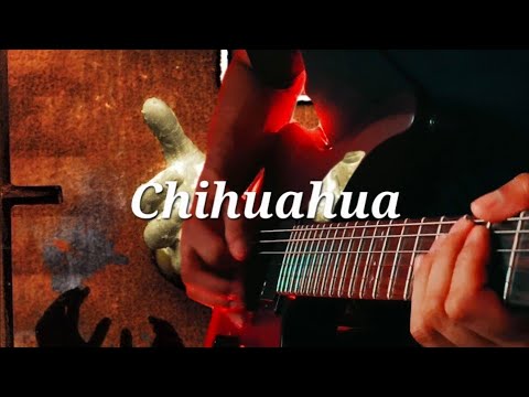 Chihuahua Kaotiko cover 