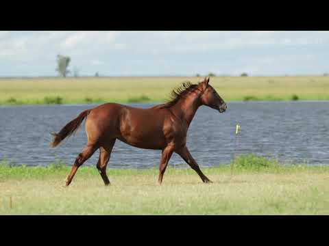 ESTANCIA DEL MEDIO - RP 245