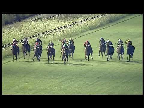Galoppo 25/07/2020 - 5ª corsa