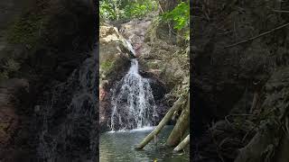 Waterfalls in Tobago🇹🇹
