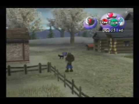 harvest moon a wonderful life gamecube action replay codes