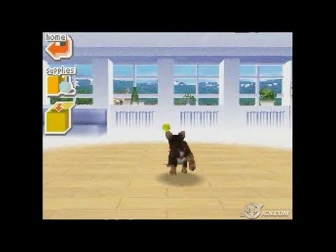 My Best Friends : Chiens & Chats Nintendo DS