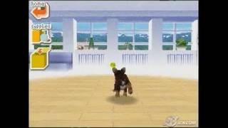 Vidéo Nintendogs : Teckel Et Ses Amis