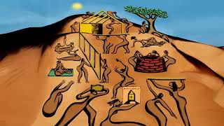 Omah Lay - Waist [Official Visualizer]