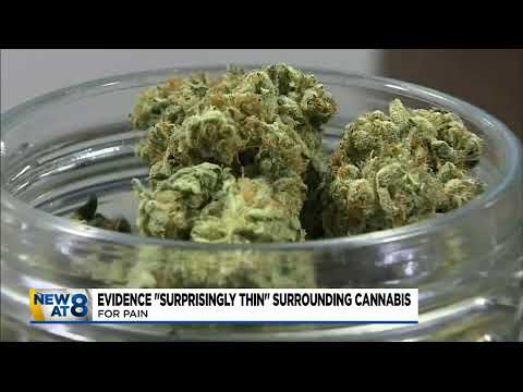 OHSU study: Cannabis helps treat chronic pain, but not by much