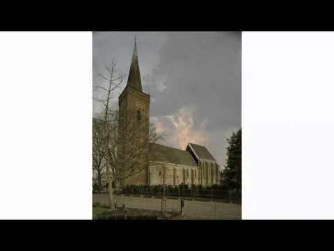 Psalm 116 from the Genevan Psalter - setting by Goudimel - lute and treble viol